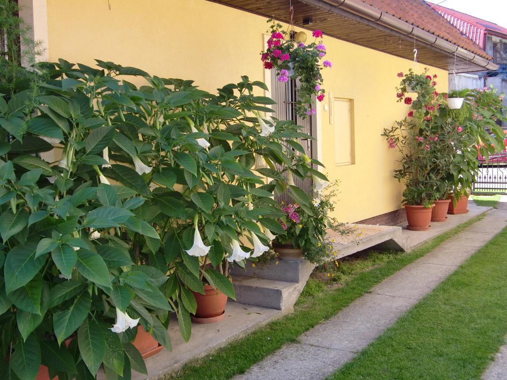 Chalupa Kucbel Liptovska Tepla Exterior foto
